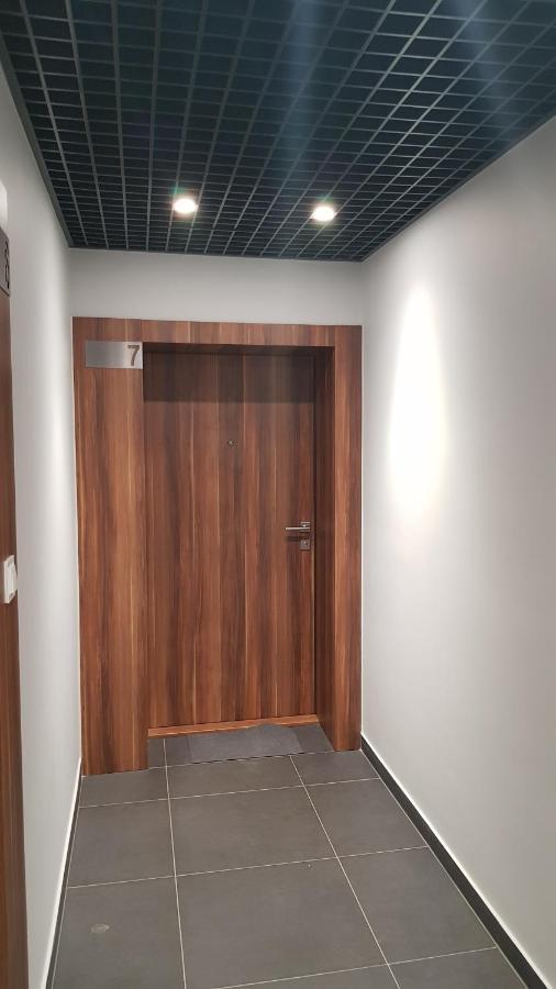 Chopin Park Lux Apartment, Self Check-In 24H, Free Parking, Air-Conditioning Πόζναν Εξωτερικό φωτογραφία